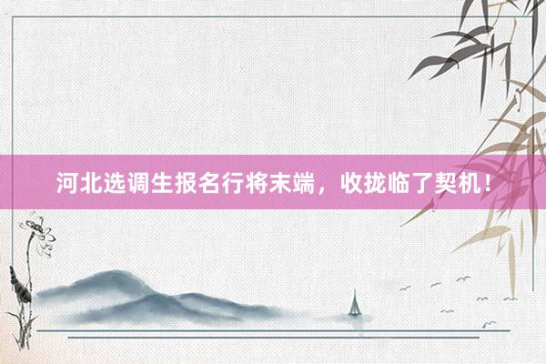 河北选调生报名行将末端，收拢临了契机！