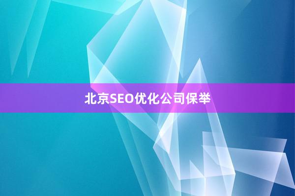 北京SEO优化公司保举